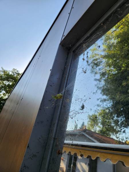 Nettoyage de creche sols et vitres à Lyon sans produits chimiques pour préserver la santé des enfants et des enseignants