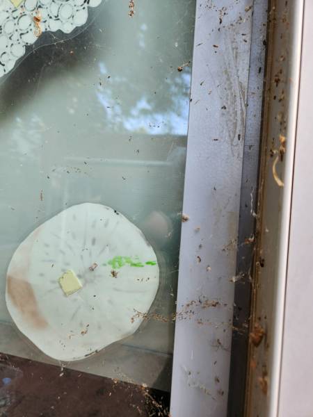 Nettoyage de creche sols et vitres à Lyon sans produits chimiques pour préserver la santé des enfants et des enseignants