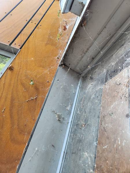 Nettoyage de creche sols et vitres à Lyon sans produits chimiques pour préserver la santé des enfants et des enseignants