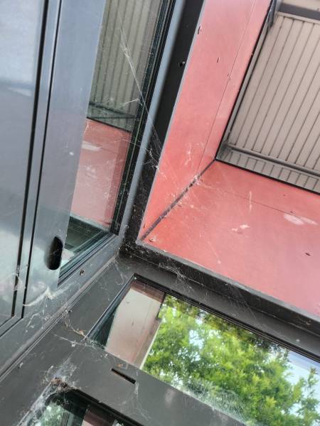 Nettoyage de vitres extérieur dans une entreprise à Lyon dans le Rhône avec machine à eau pure